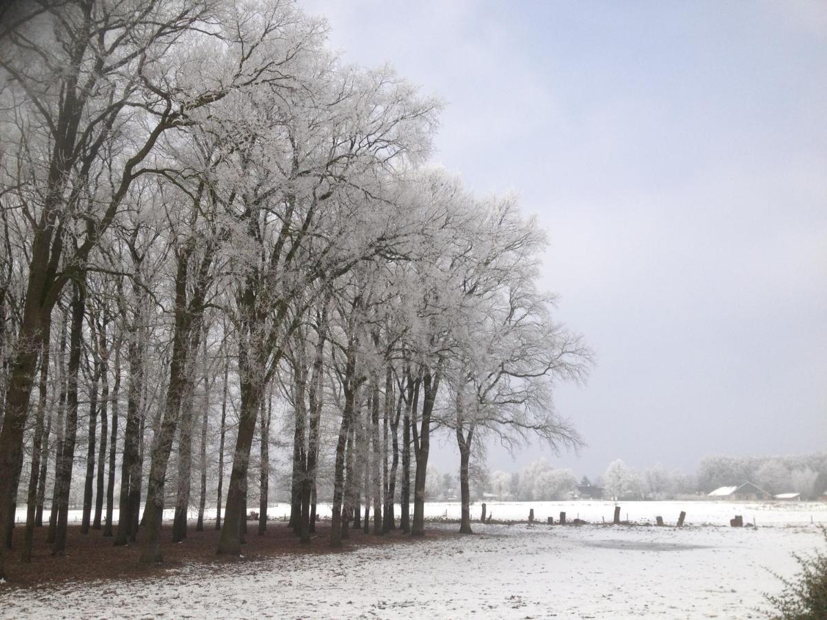 Bed and Breakfast Erve Iemhorst Losser Esterno foto